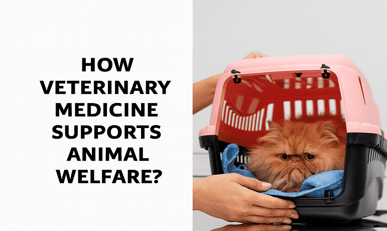 Vets Improve Animal Welfare