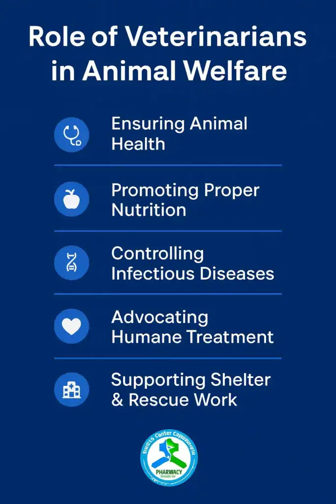 Role of Veterinarians in Animal Welfare in Newport Beach